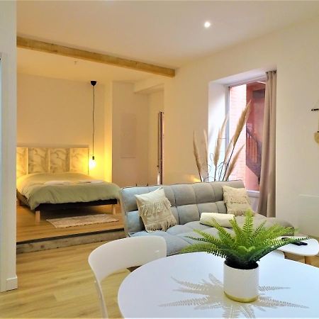 Sublime Cocon Pour 2 Aux Portes De La Place Nationale - Proximite Immediate Toutes Commodites Et Sites D'Interets Lejlighed Montauban Eksteriør billede